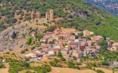 Panorámica-Pelegrina