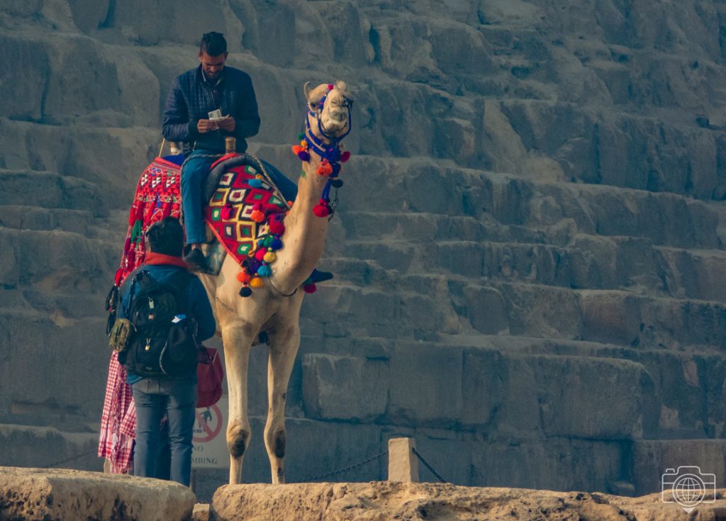 camello-bloques