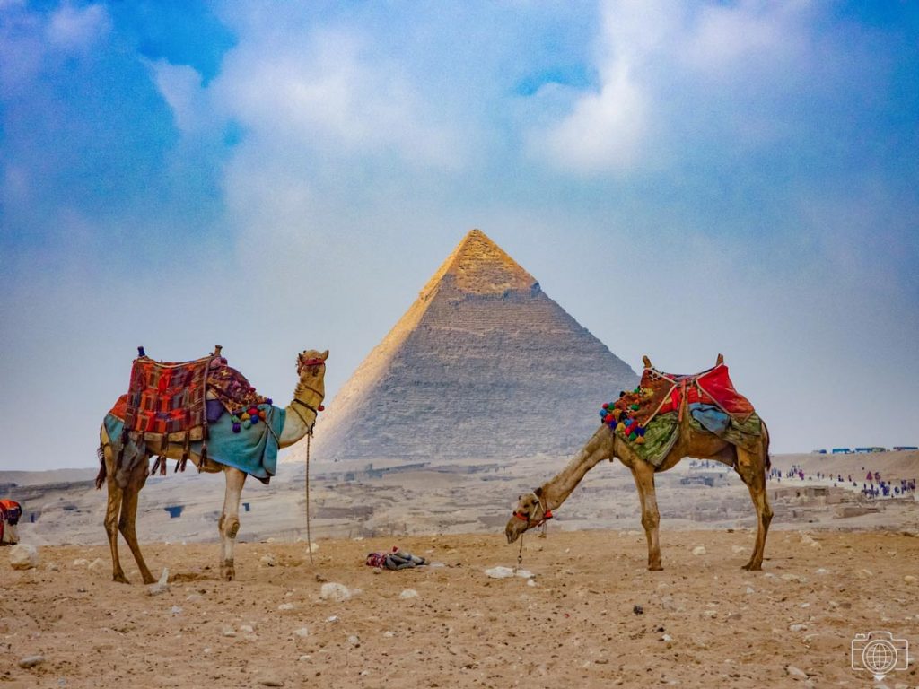 kefren-y-camellos