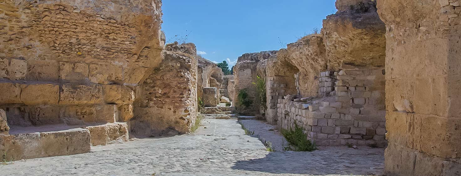 ruinas-Cartago-panorámica
