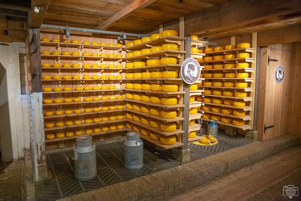 Cheese-Farm-Catharina-Hoev