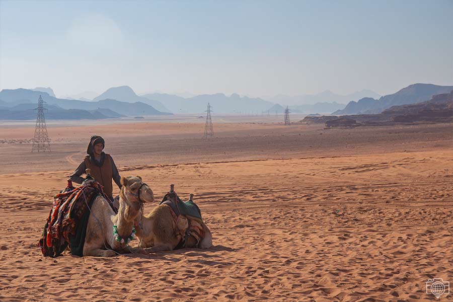 wadi-rum-camellos